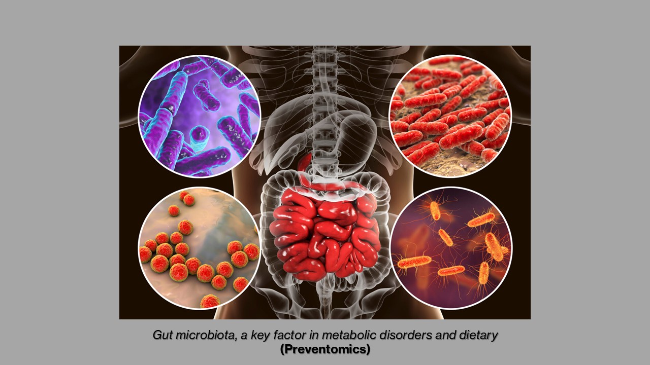 Microbiota: le fondamenta della longevità