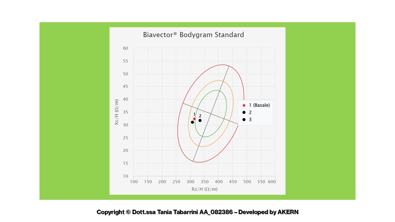 Dimagrimento: una perdita di peso consapevole