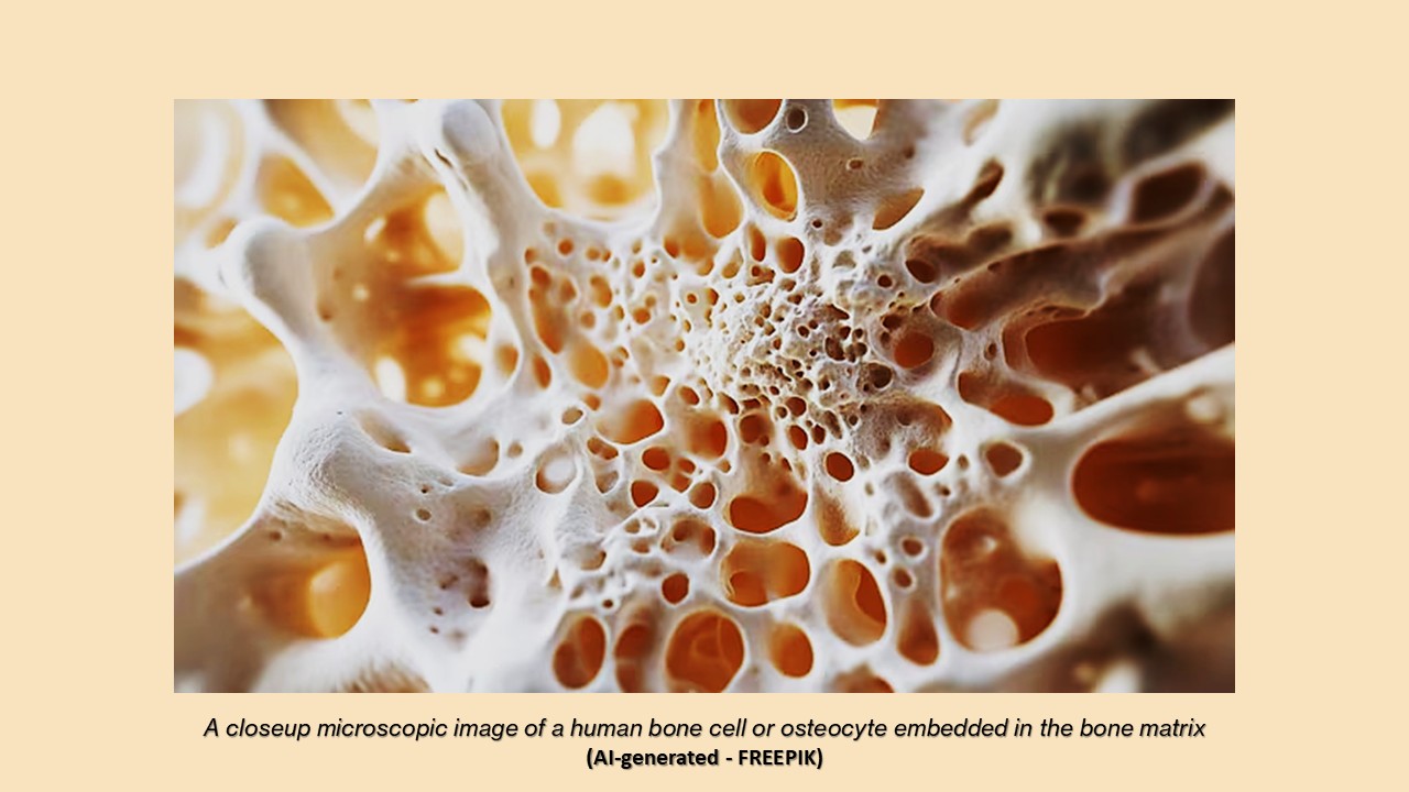 Dieta e salute ossea